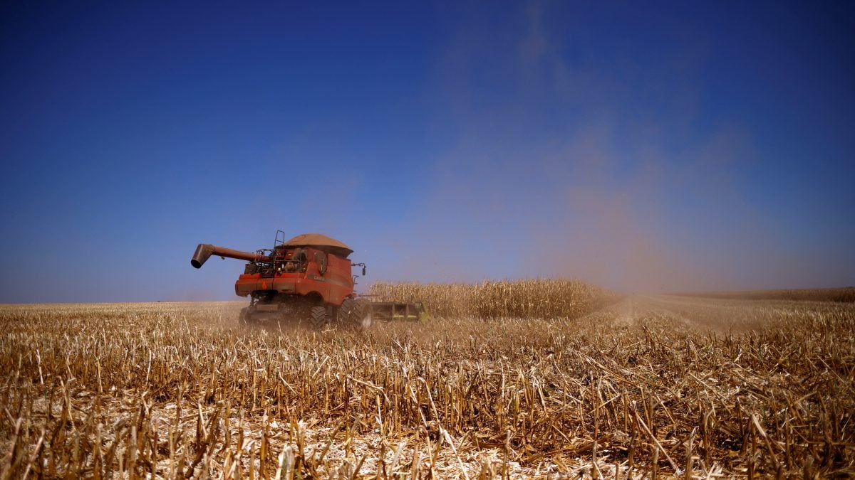 Bioinsumos na Agricultura Brasileira: Crescimento Explosivo de 13% Para a Safra 2024/25!