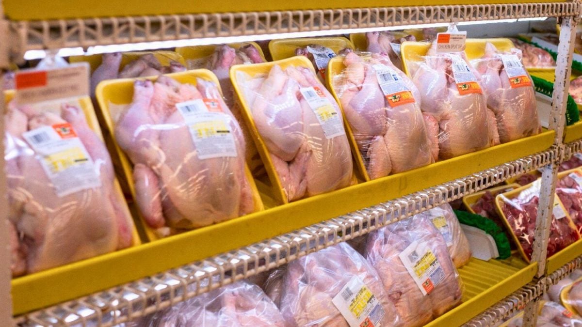 Brasil Clama por Liberação Urgente: Crise do Frango Choca o País!