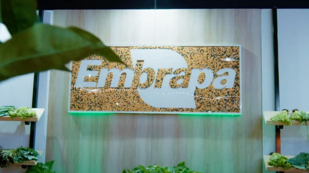 EMBRAPA FURTA CORAÇÕES: Lucro Social de R$ 107 BI em 2024!