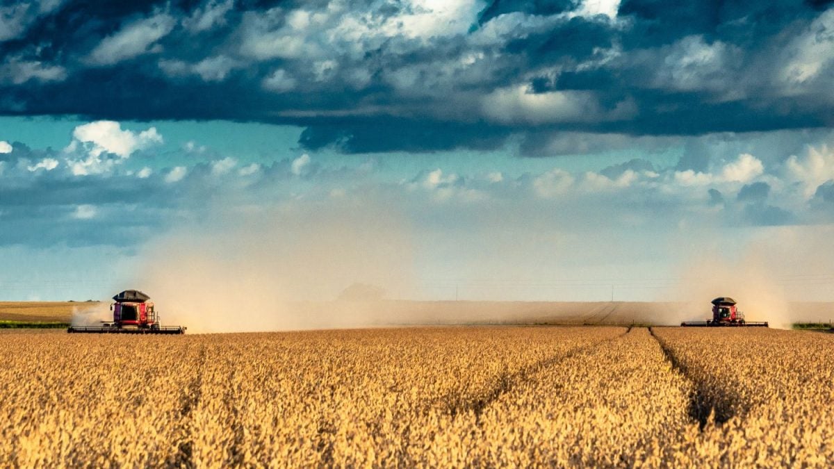 Brasil Desponta como Potência Global na Agricultura: A Revolução Verde que Choca o Mundo!