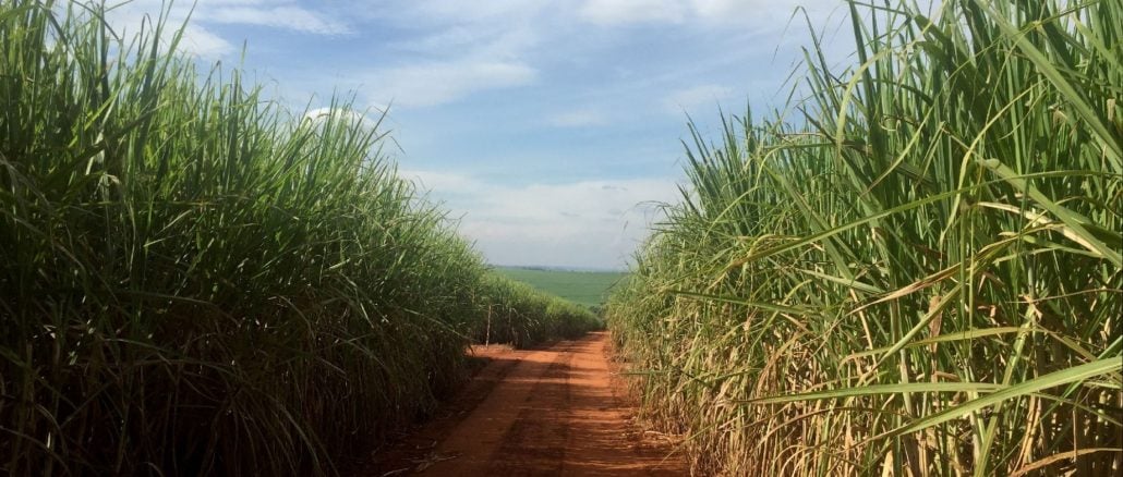 Crise do Etanol em SP: Negócios em Colapso e Futuro Incerto!