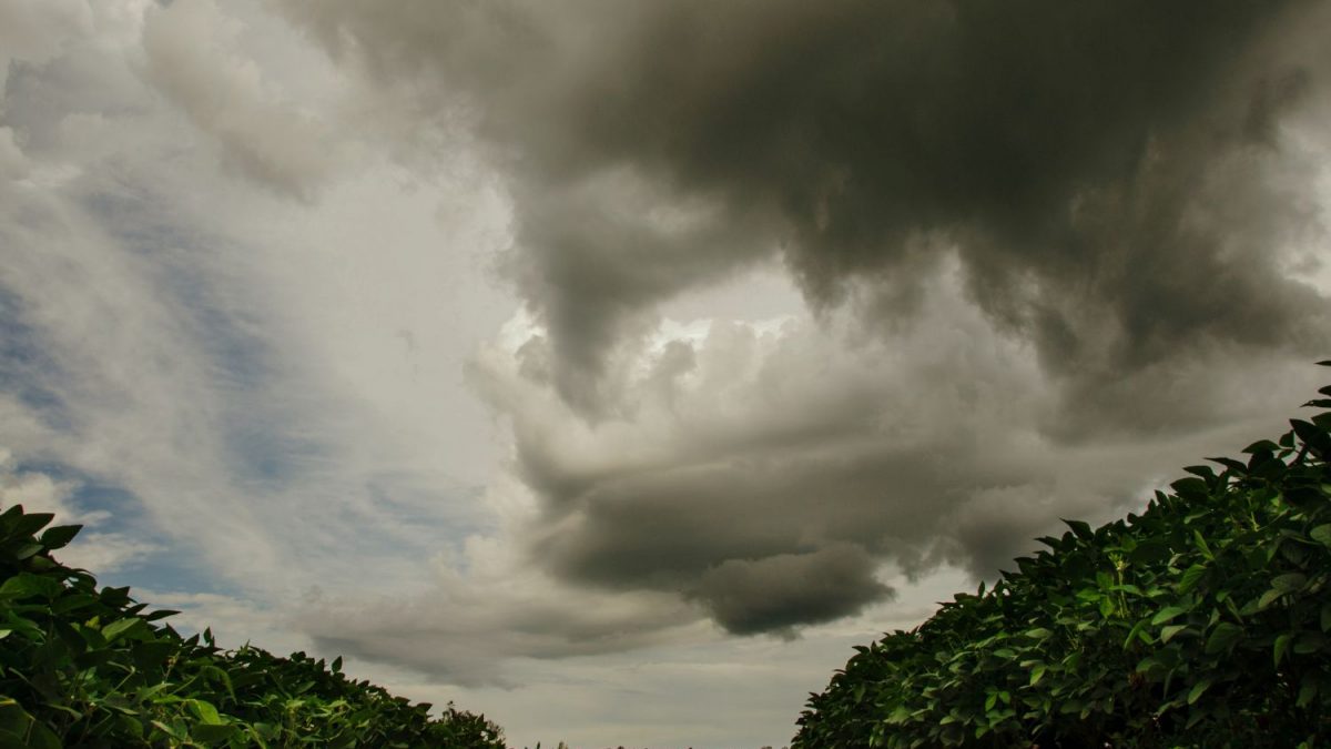 CHUVAS DEVASTADORAS NA ARGENTINA: Sojeiros em PÂNICO!