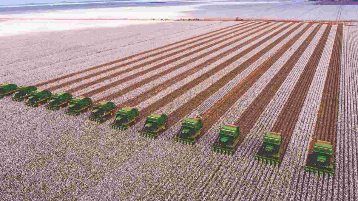 Lucro da SLC Agrícola Explode e Bate Recorde no 1º Trimestre!