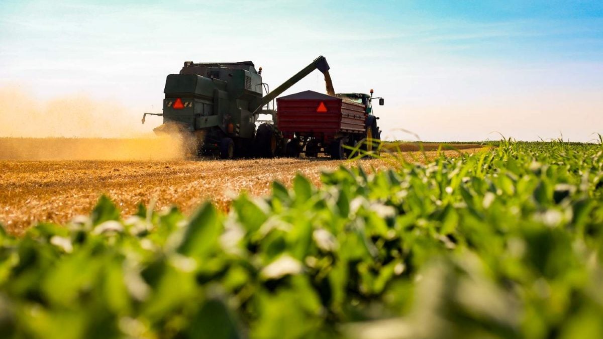 Brasil Oferece Tecnologia Agrícola em Troca de Dívidas com a África: O que Está por Trás Dessa Proposta Chocante?