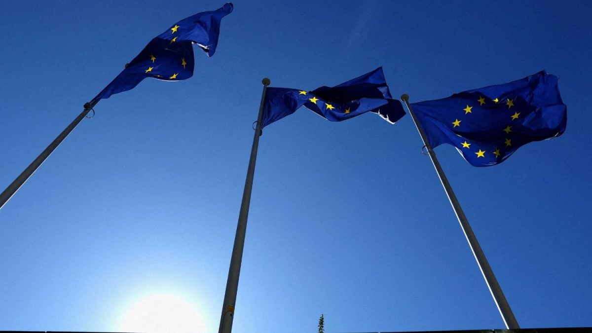 ALERTA! Países COBRAM Mudanças URGENTES na Lei da UE para Combatendo o Desmatamento!