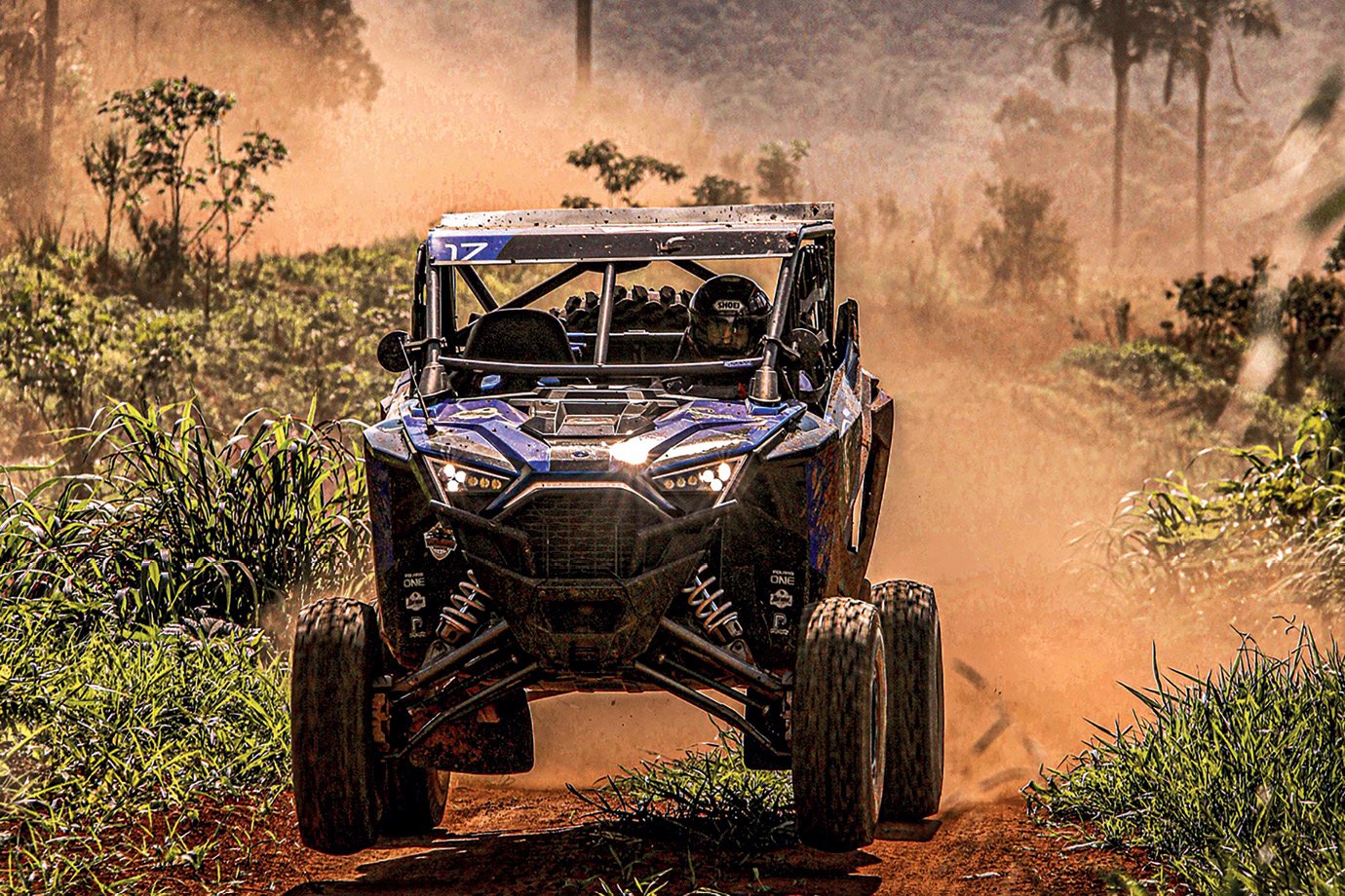 CEO da Martha Medeiros Embarca em Aventura Sob Lamas e Pó! Revelações Chocantes!