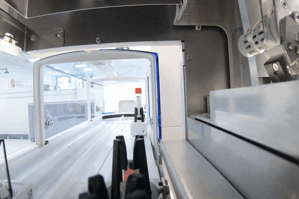 CRESCIMENTO FURTIVO NO FLEURY: O ESCÂNDALO QUE TODOS IGNORAM!